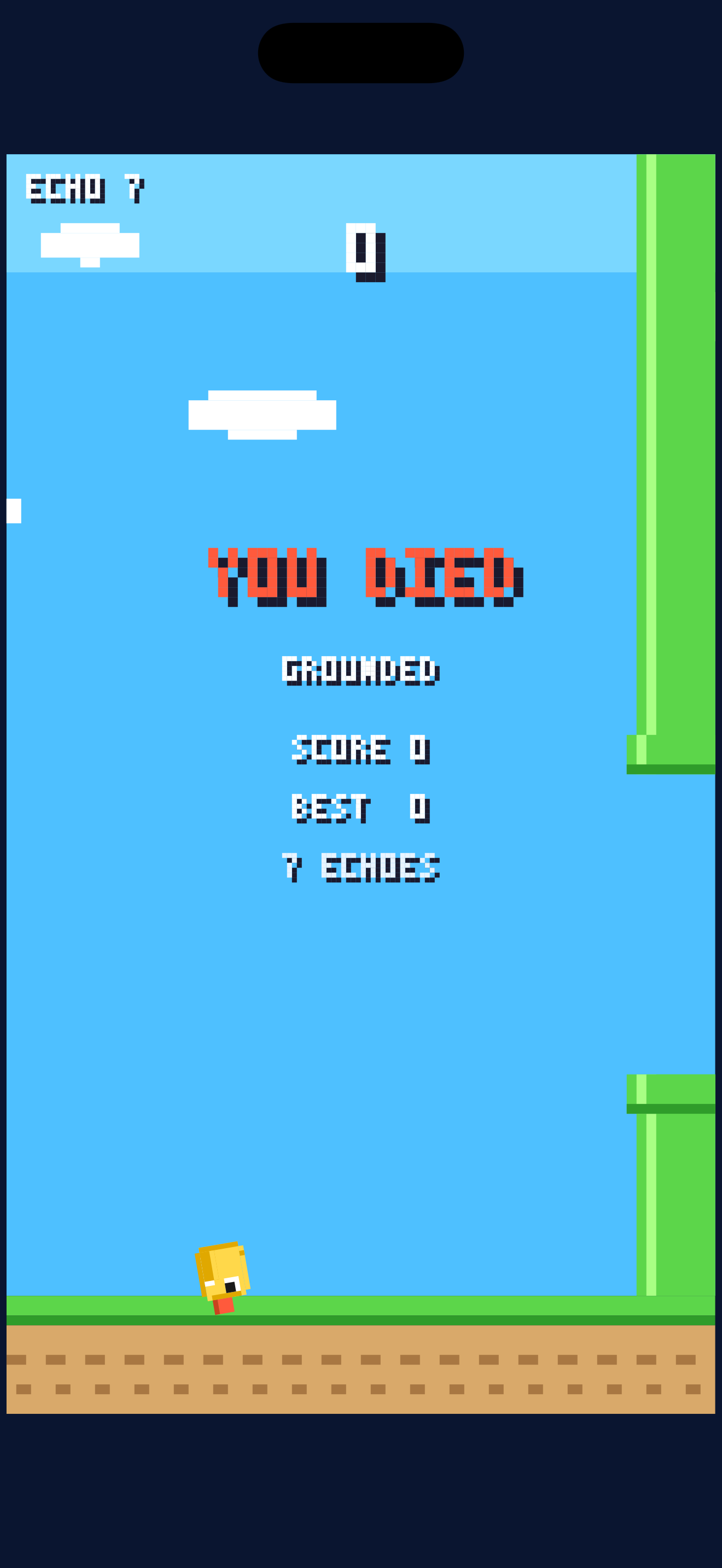 Game over screen after crashing